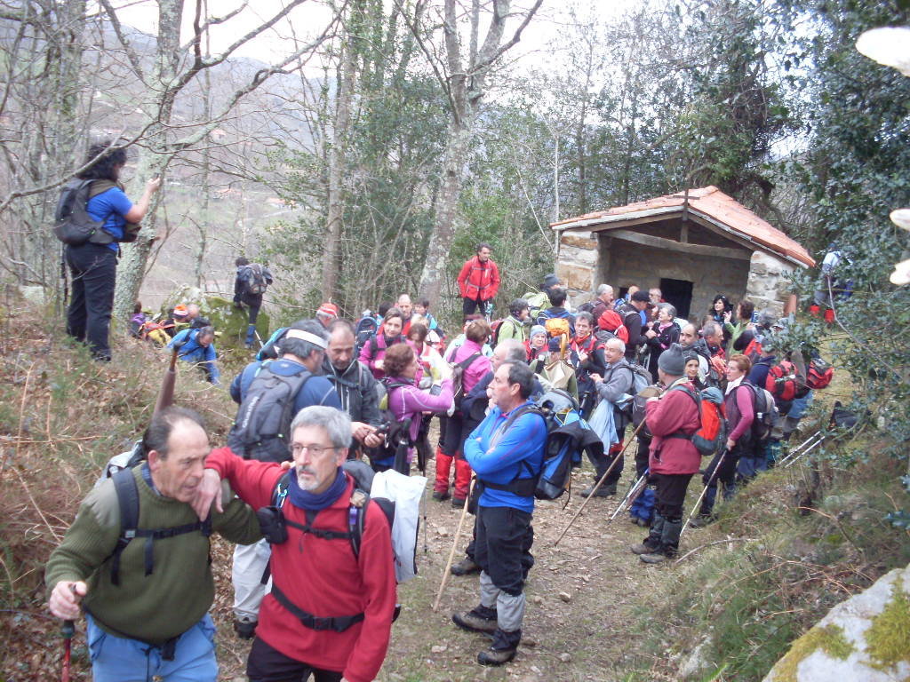 SDC13050