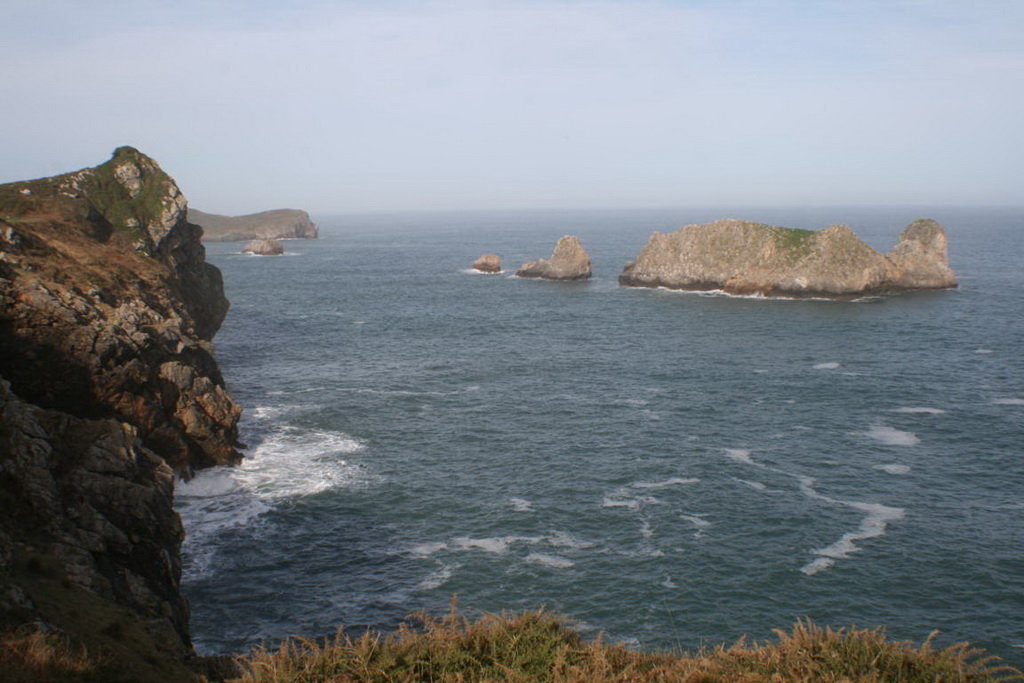 A 1019