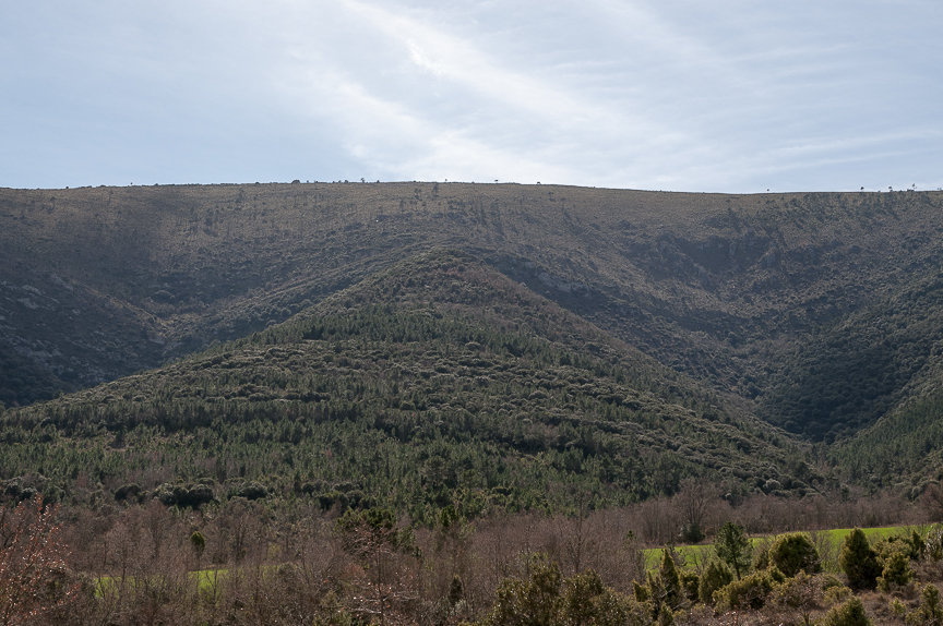 C 20140323145916