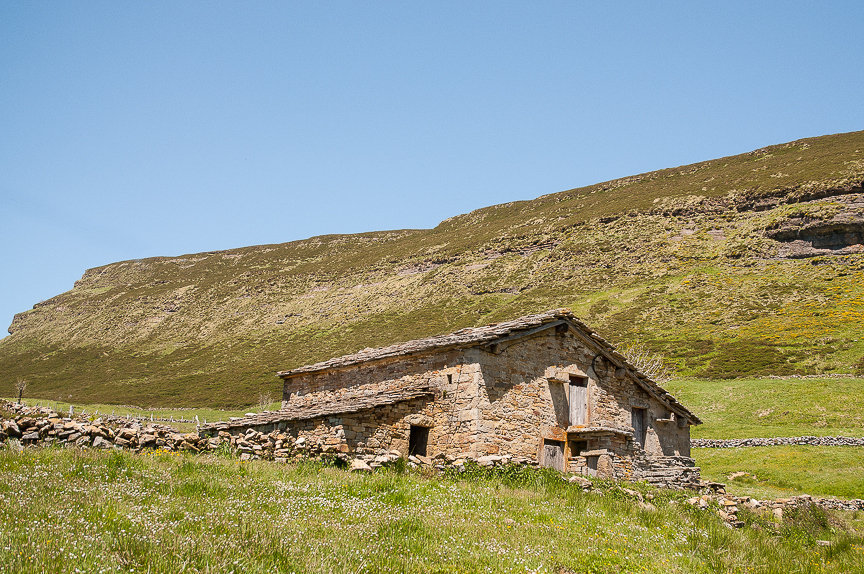 Estacas Trueba 19