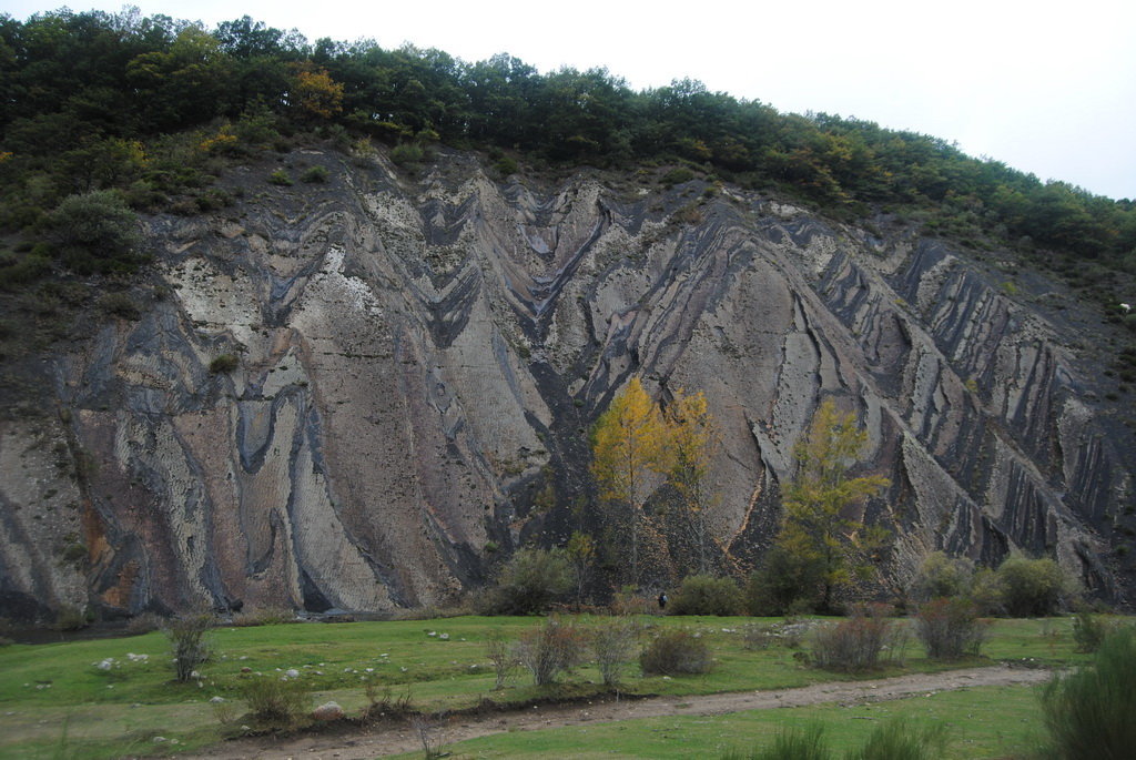 DSC 0211