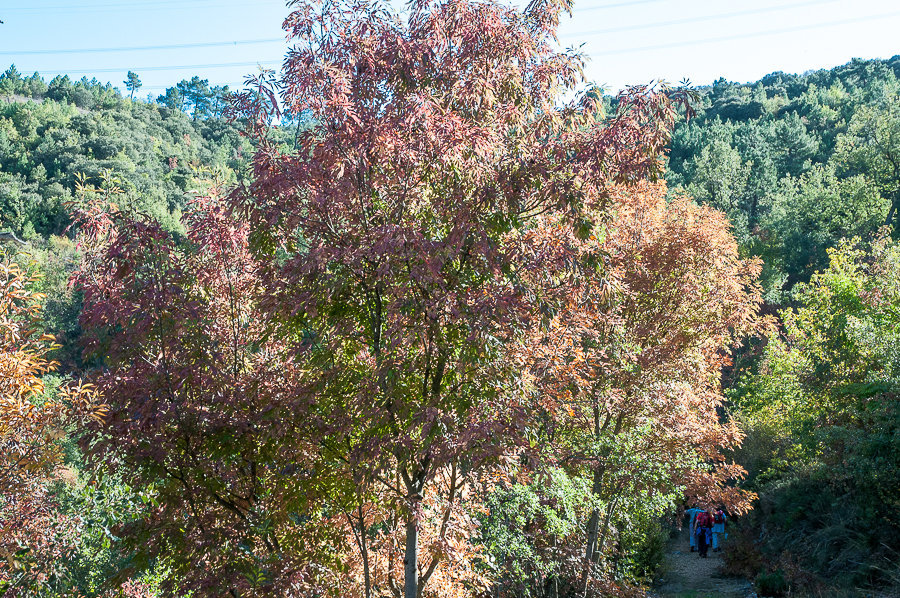 C 2014-10-02-18