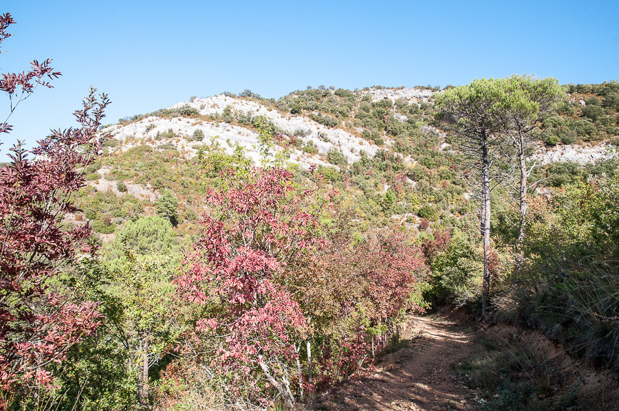 C 2014-10-02-21