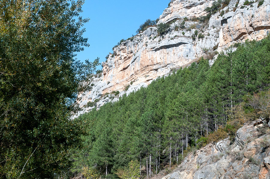 C 2014-10-02-26