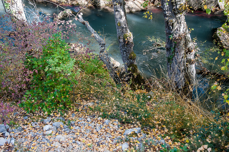 C 2014-10-02-36