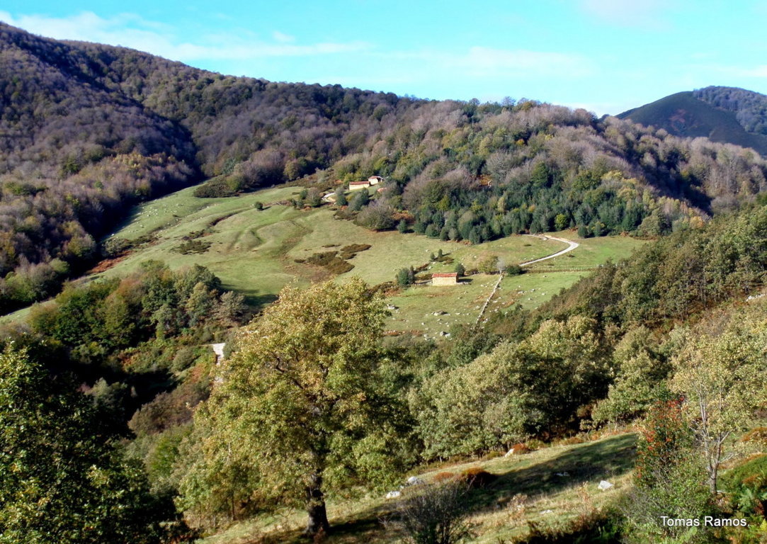20141109103332