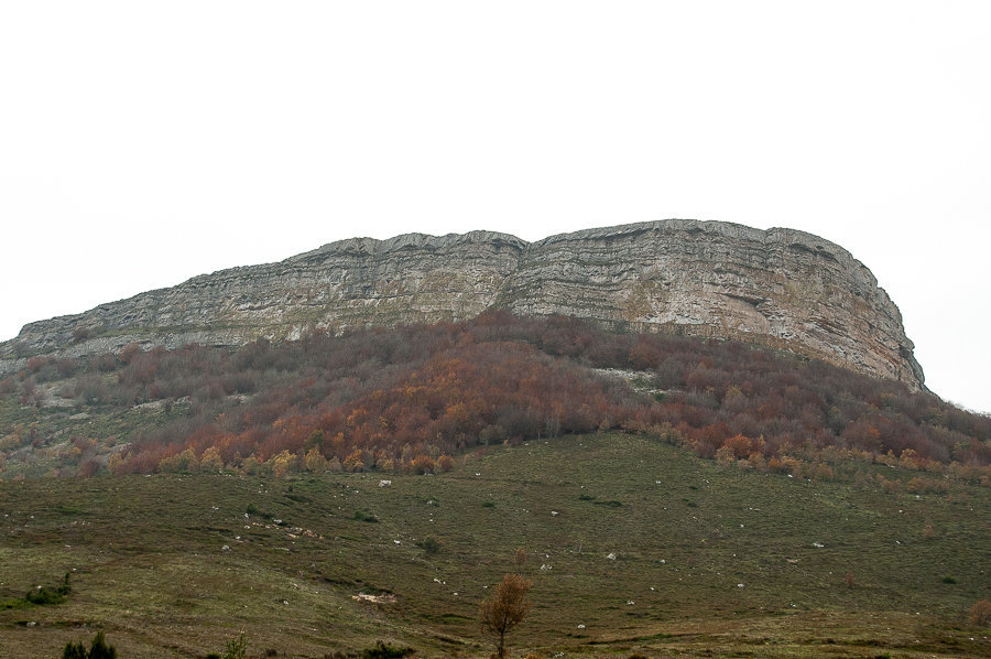 C 20141123102417