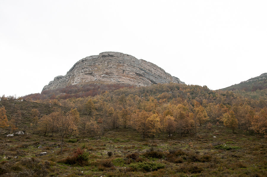 C 20141123103726