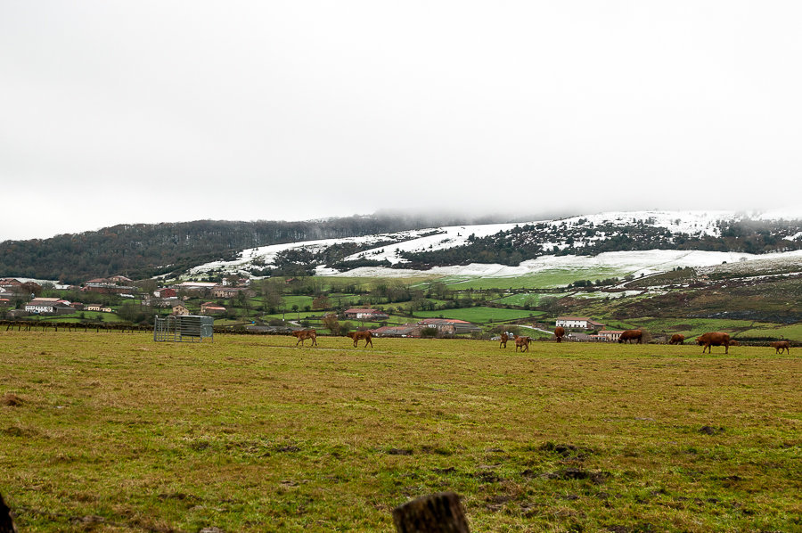 C 20141207104613
