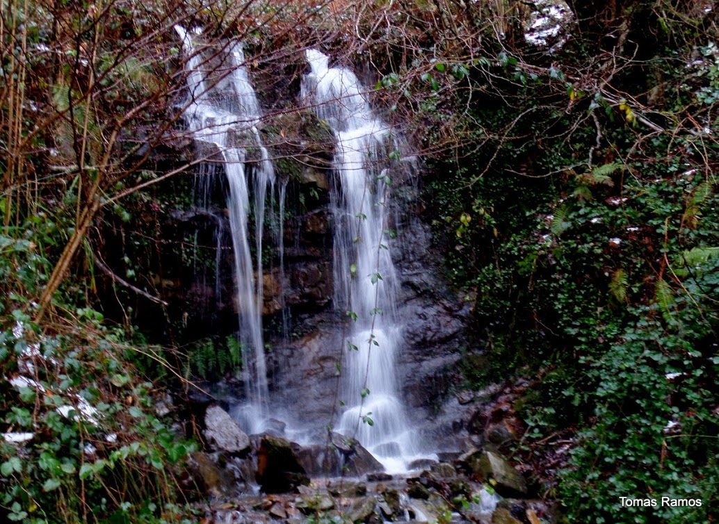 IMG 20150201 160250