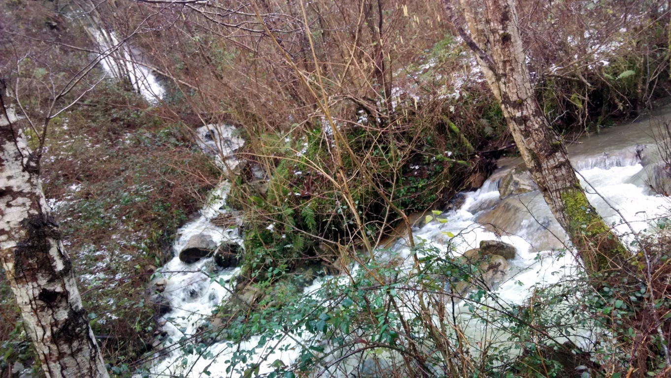 IMG 20150201 162442