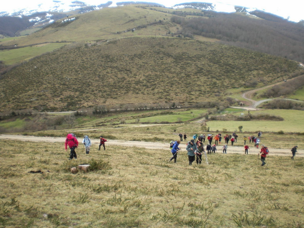 AB DSC 0121