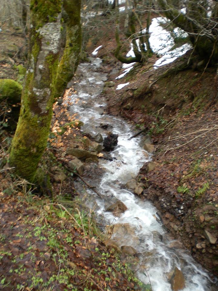 AB DSC 0121a