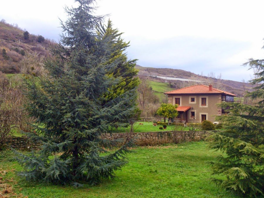 AB DSC 0129