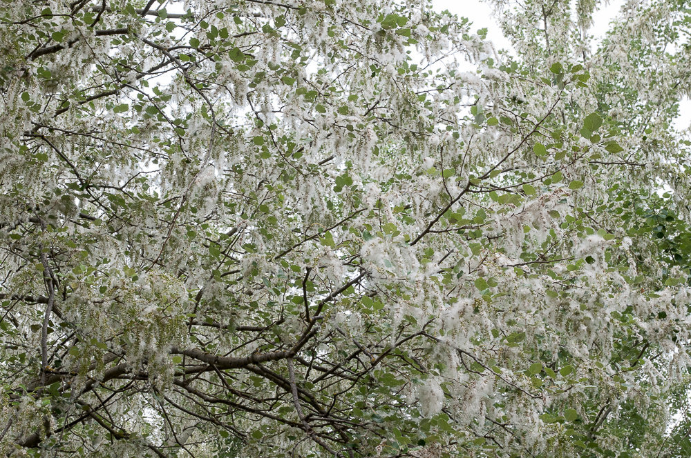 C 20150504094605