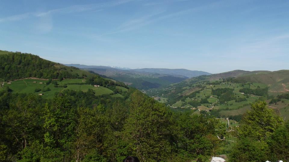 A 10462315