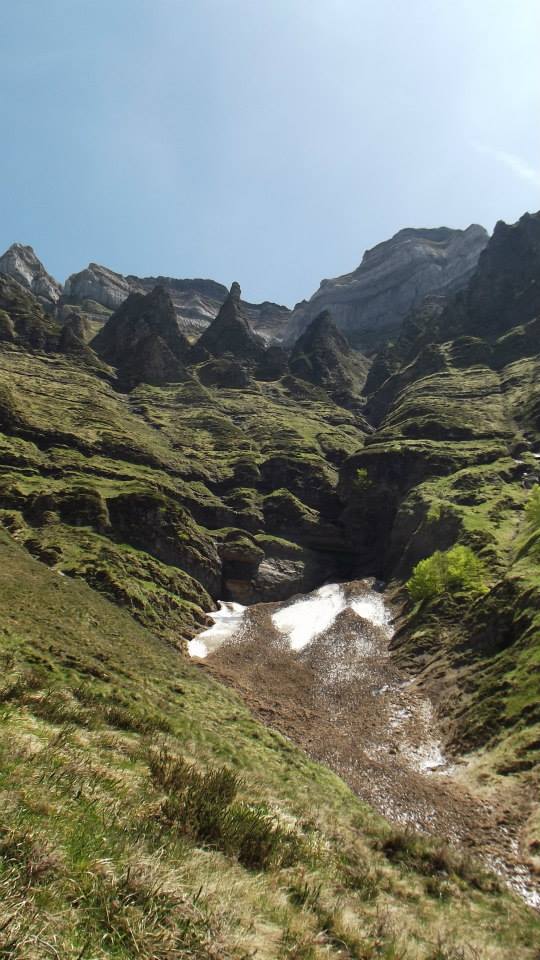 A 11212771