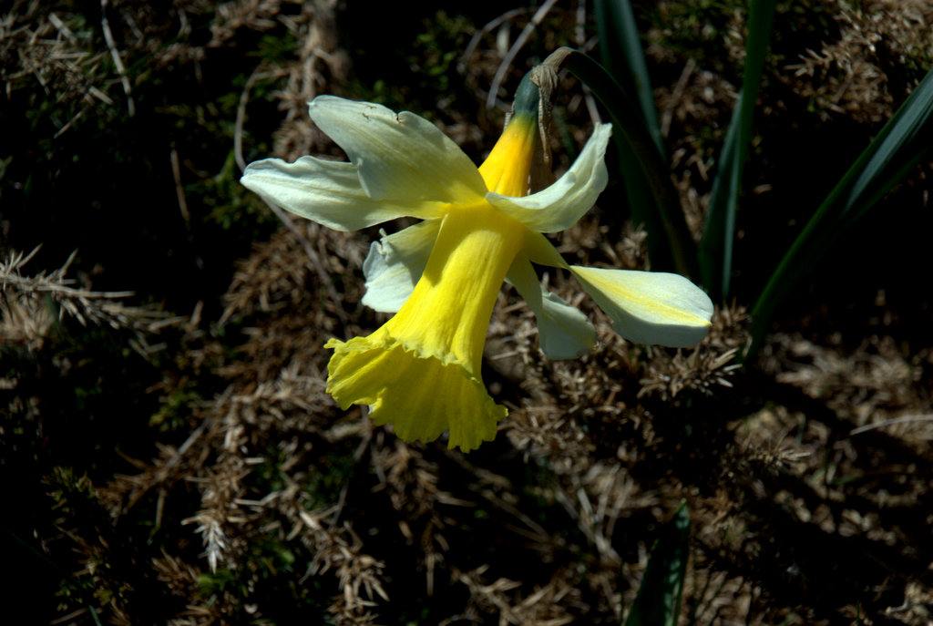 C 20150510115648