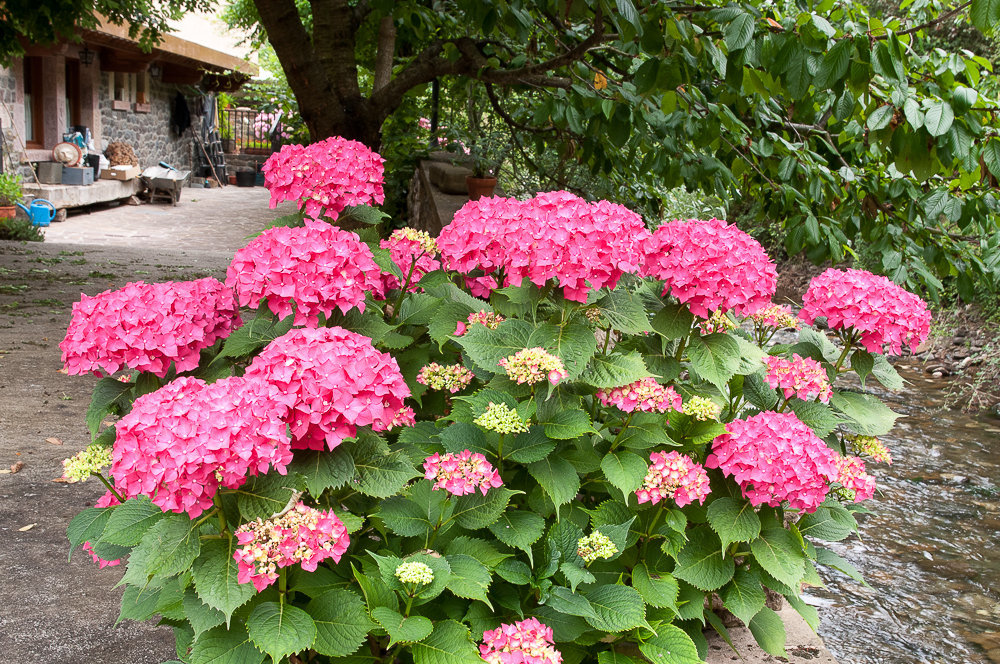 C 20150705173030