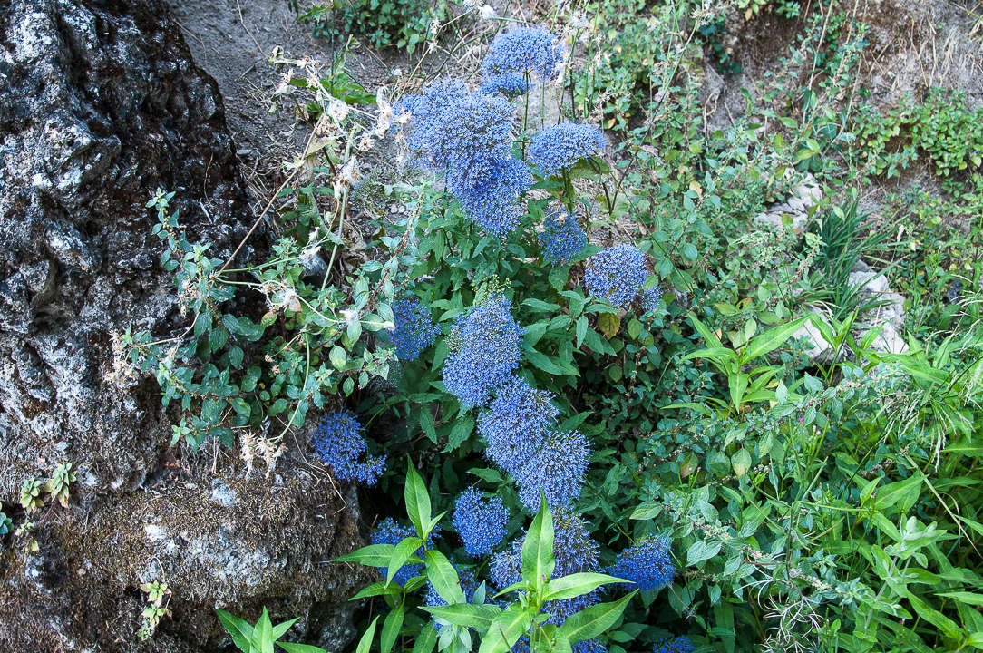 C 20150727083312