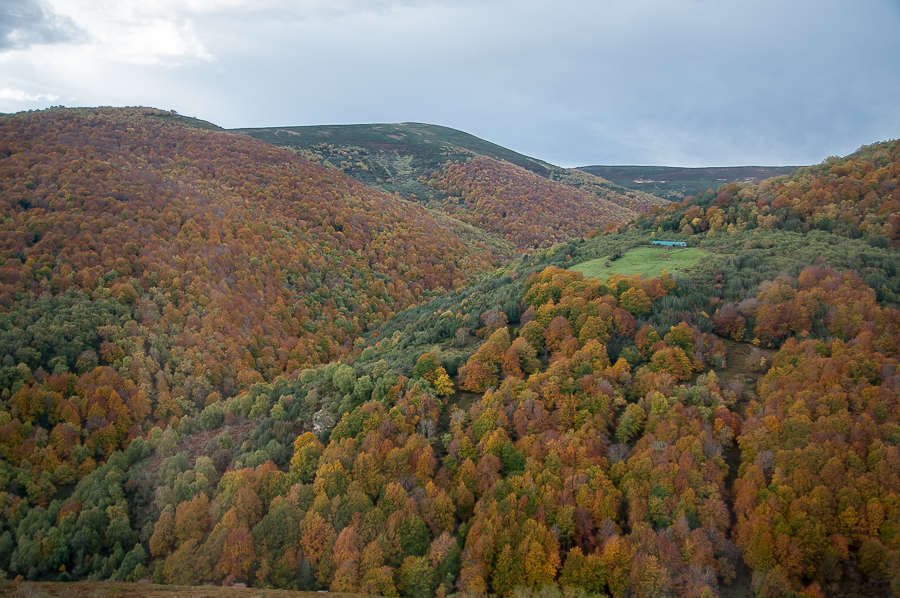 C 20151018092356