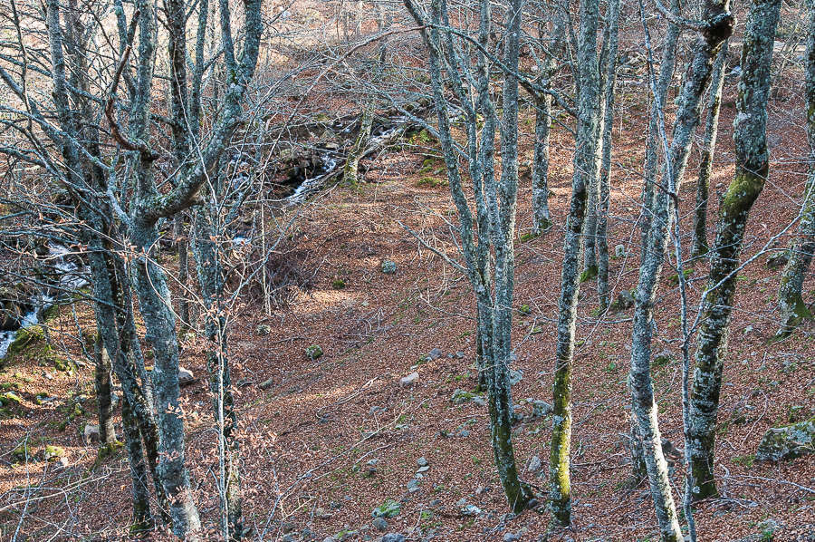 C 20151115115845