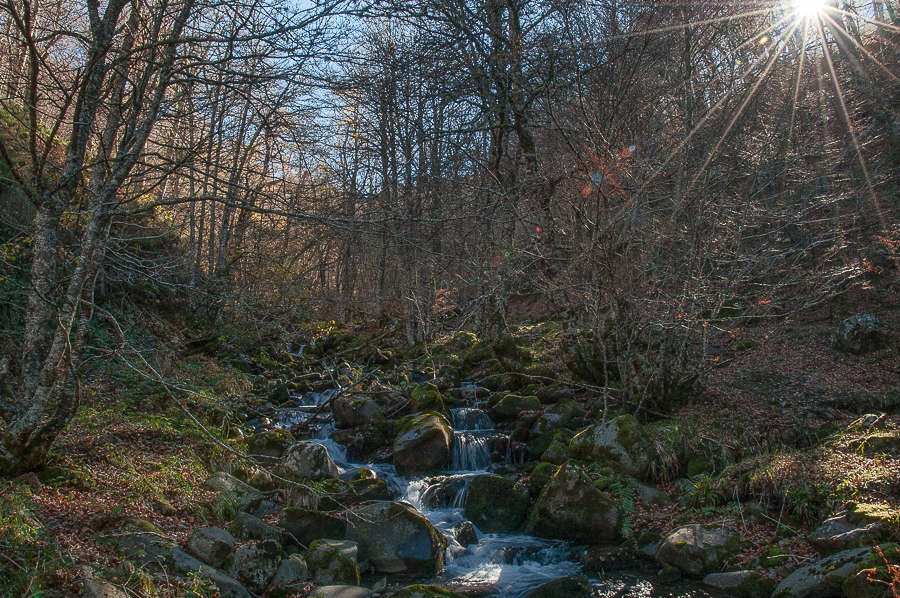 C 20151115120557