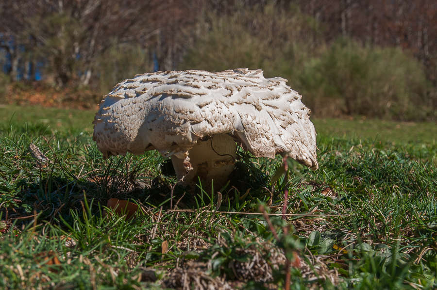 C 20151115131346