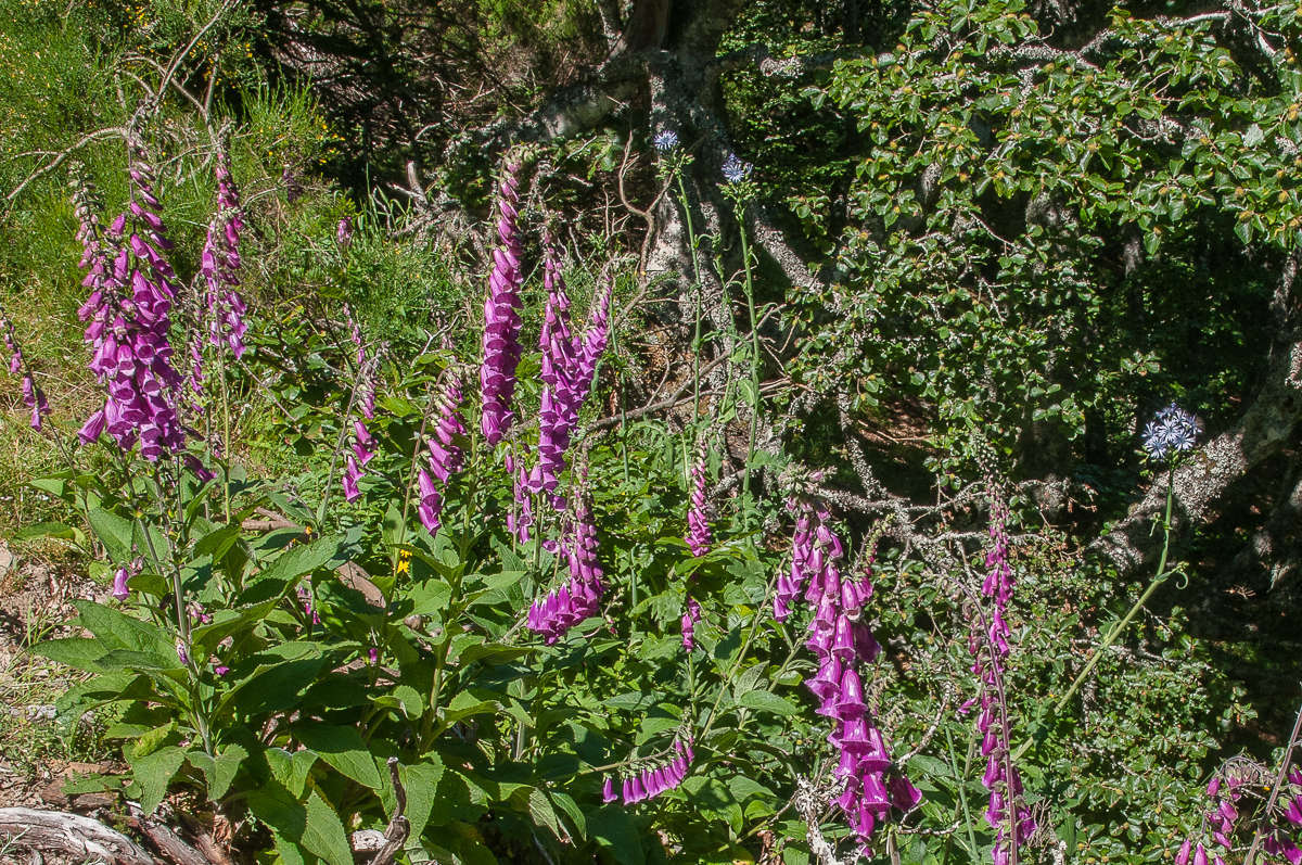 C 20160710103845