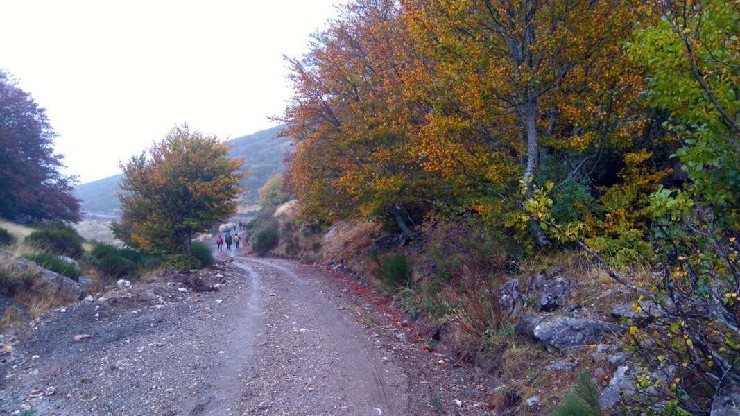A PRedonda 20161016 25