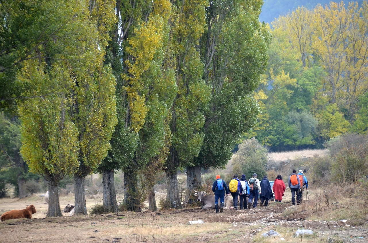 A PRedonda 20161016 59