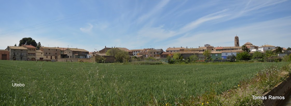 DSC 6568