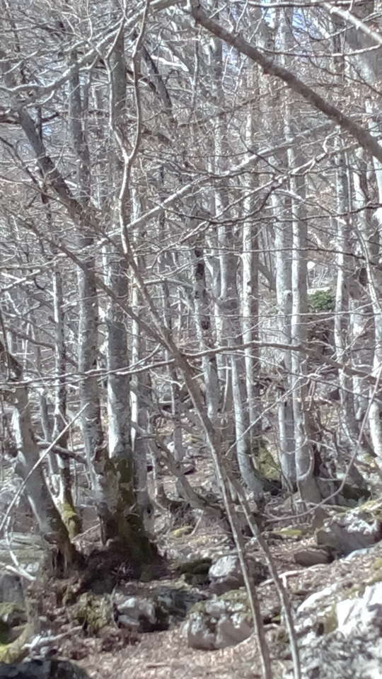 20170319134554