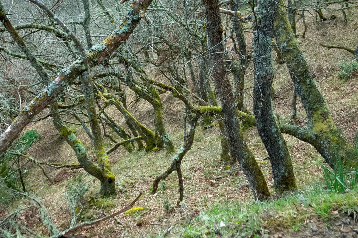 C 20170402132836