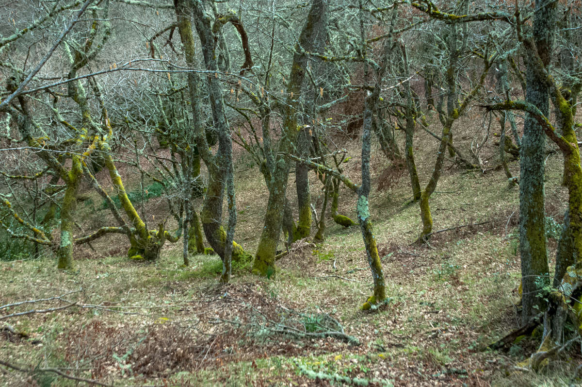 C 20170402132907