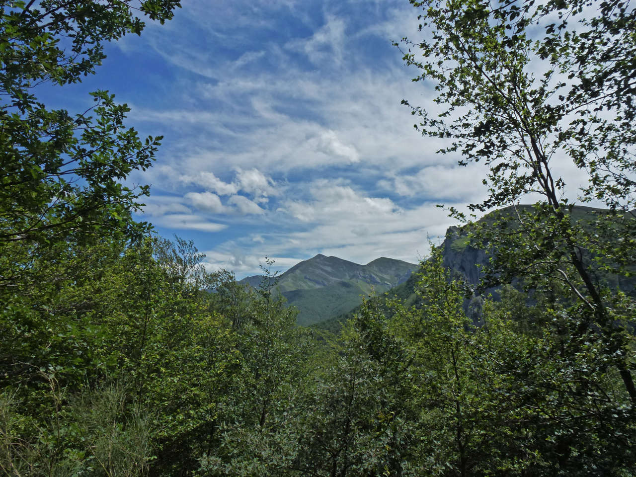 B 20170723142126