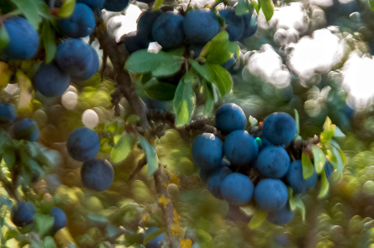 C 20170813090049