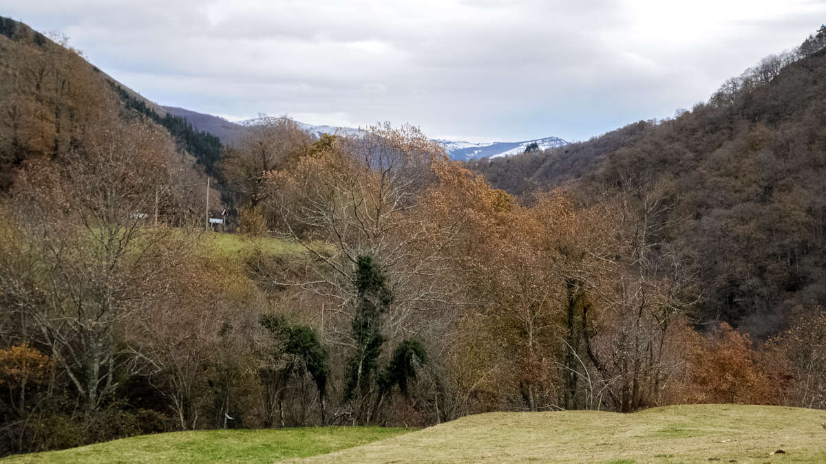 C 20171210092651
