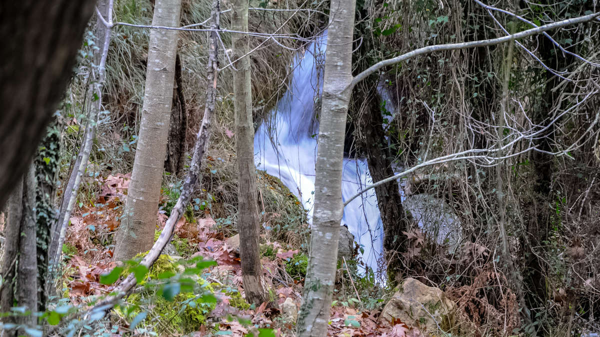 C 20171210123901