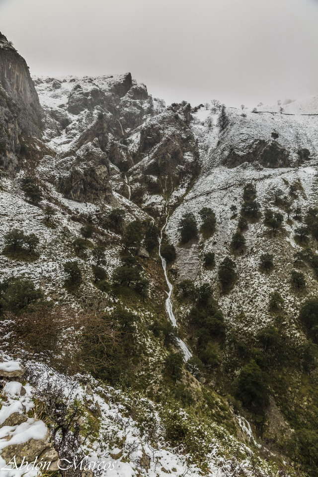 20180204124243