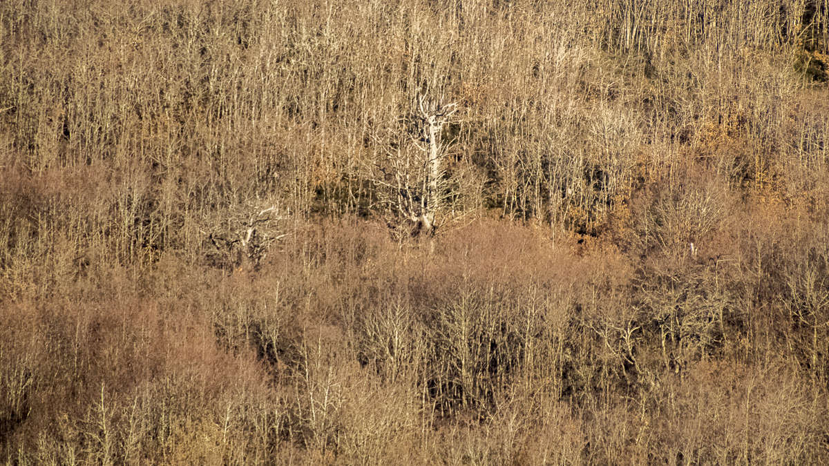 C 20180318201127