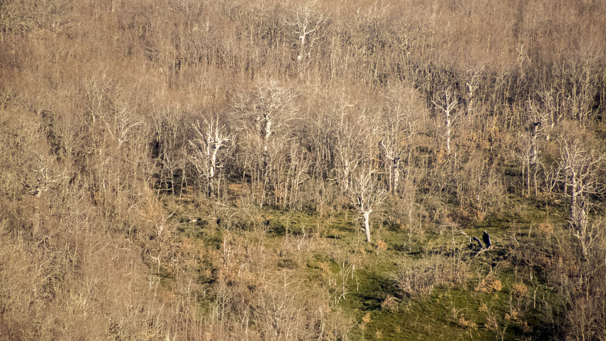 C 20180318201158