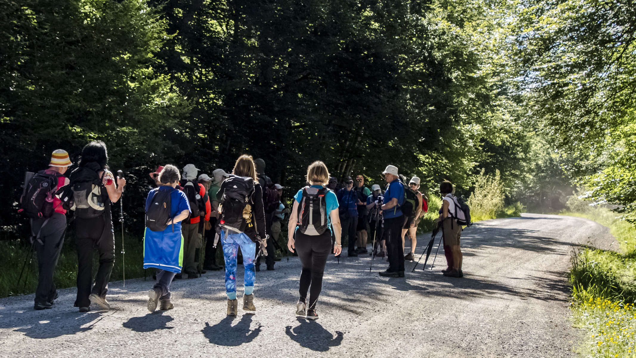 C 24062018-DSC 2196-Editar