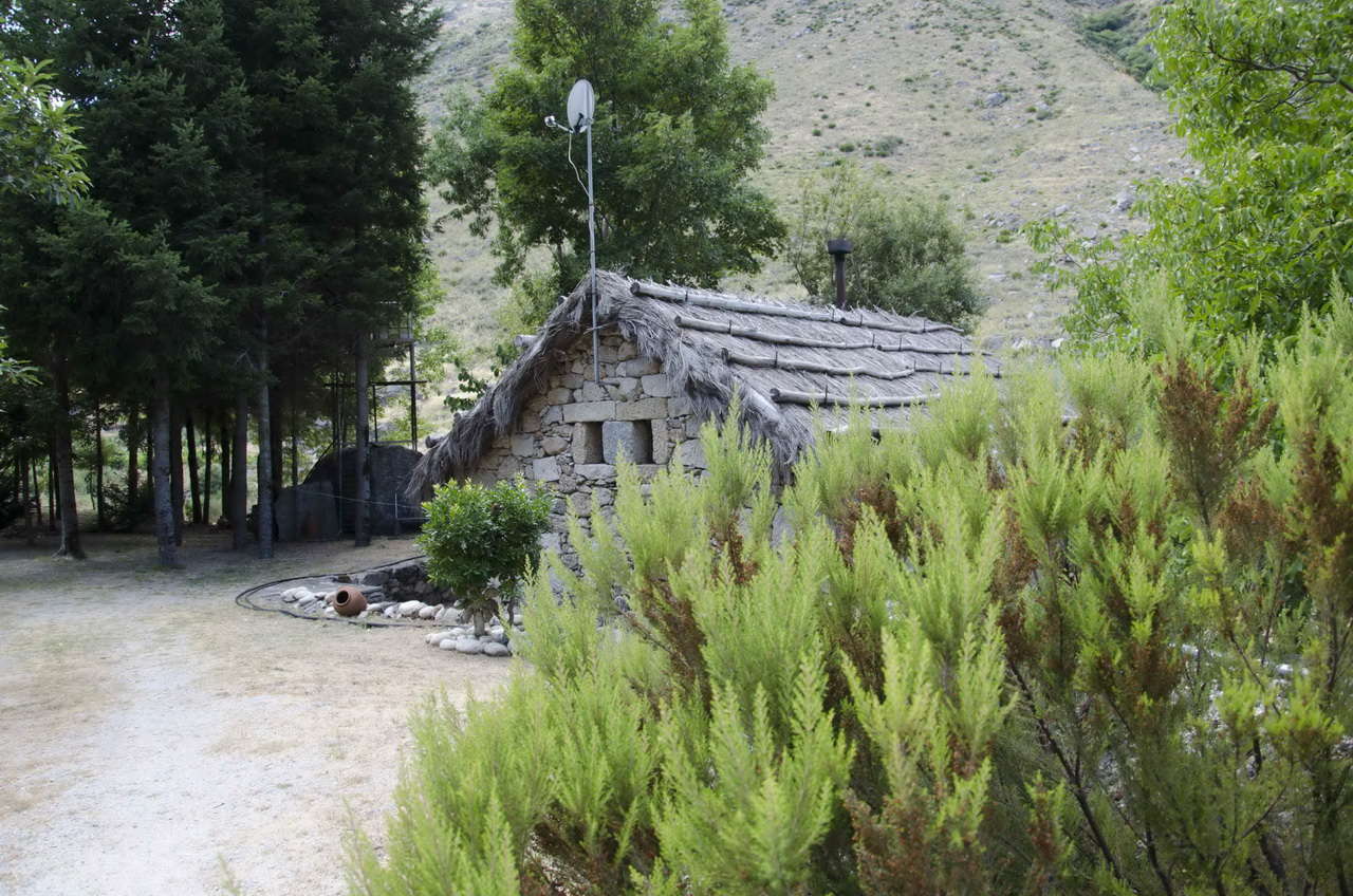 DSC 0192