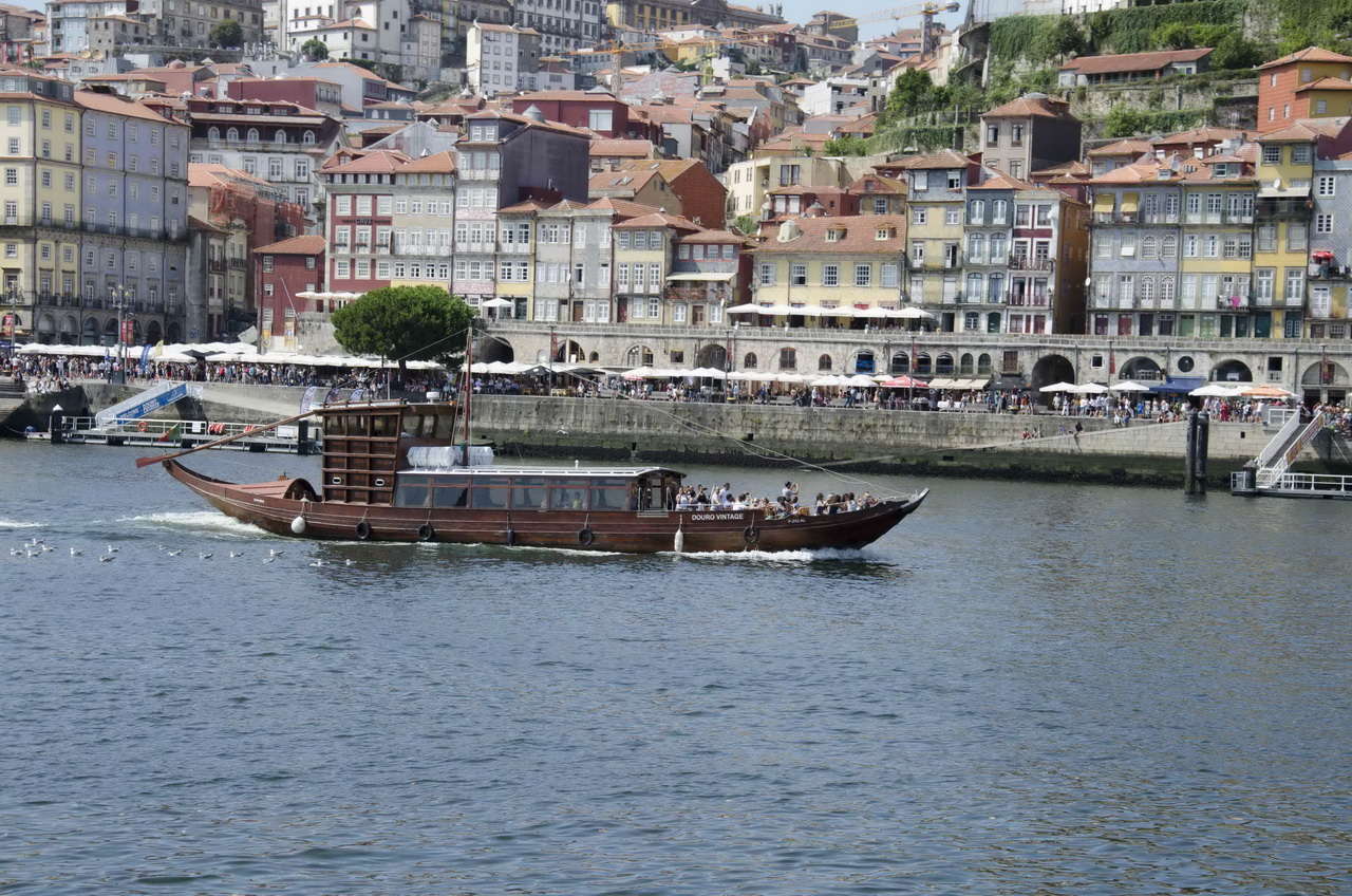 DSC 0468