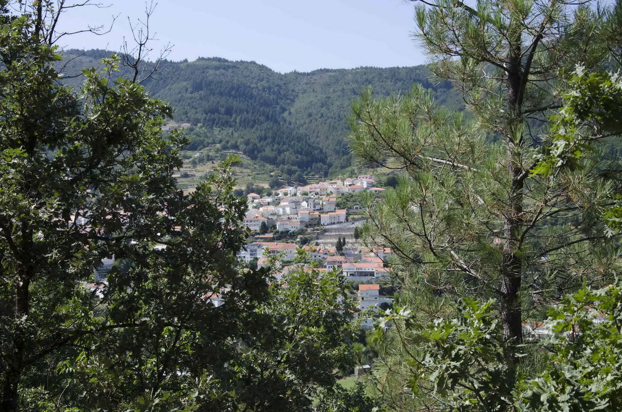 DSC 0660