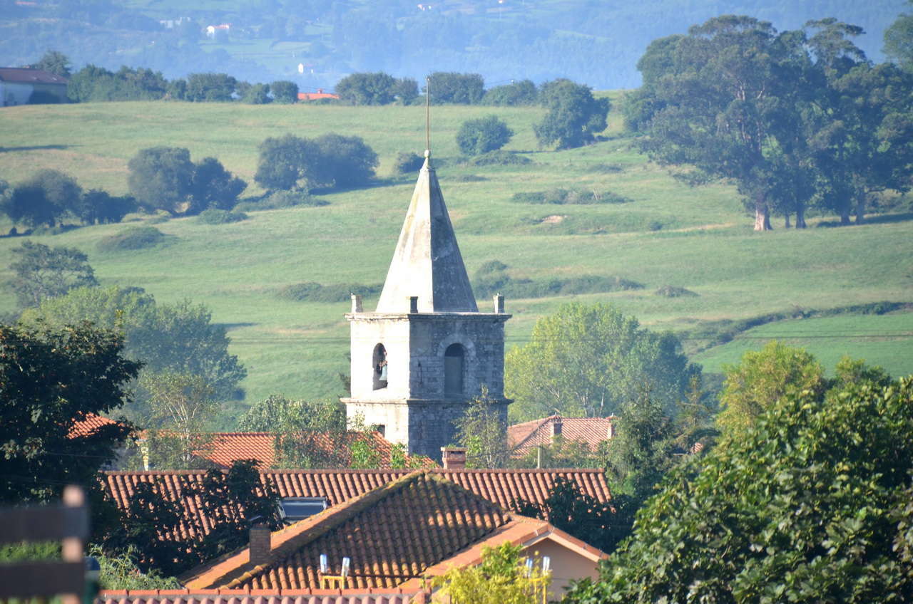 DSC1 7336