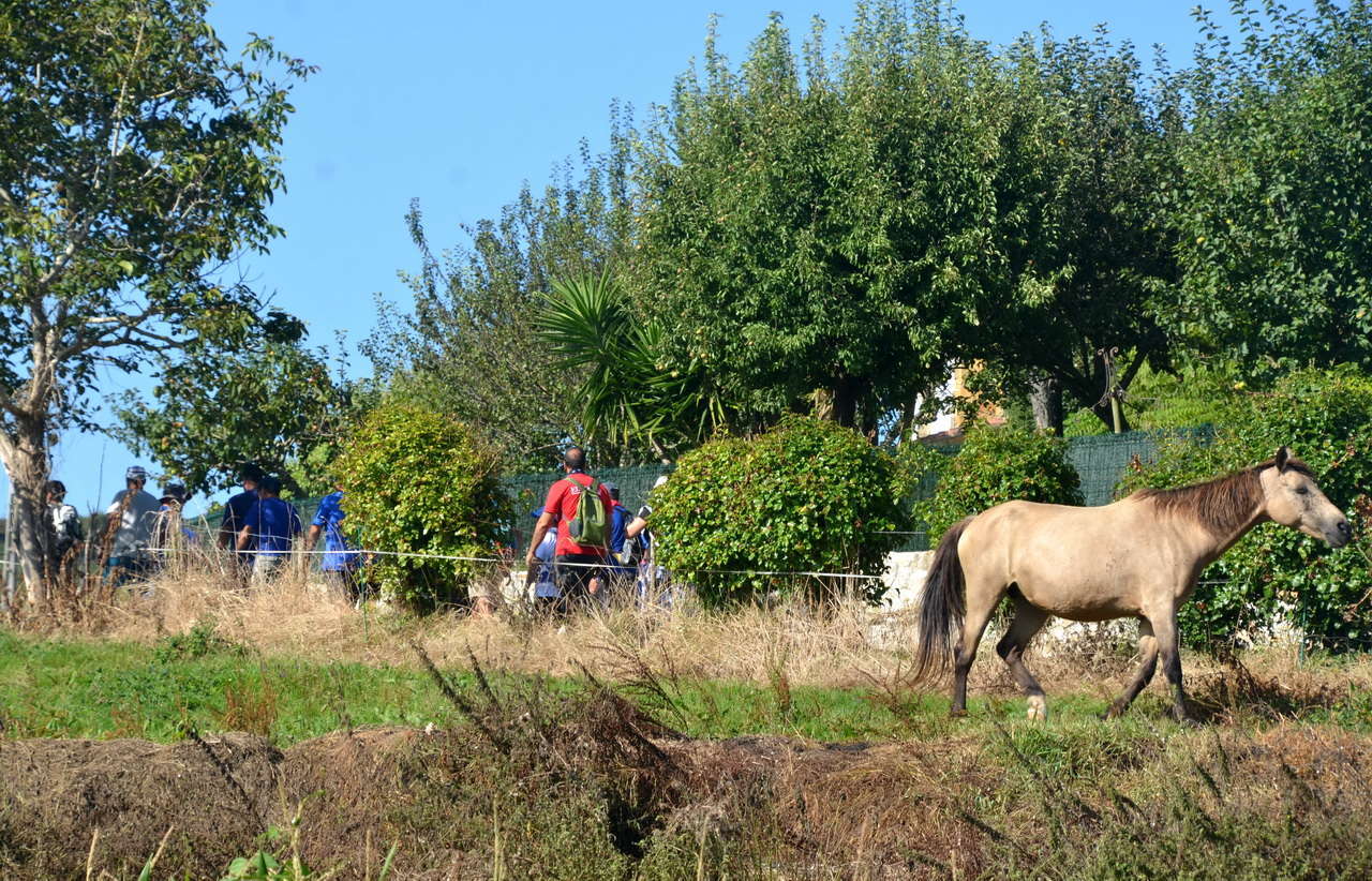 DSC1 7429