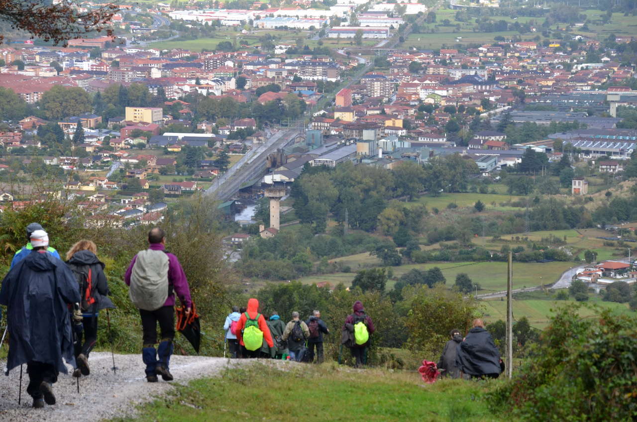 DSC1 8659