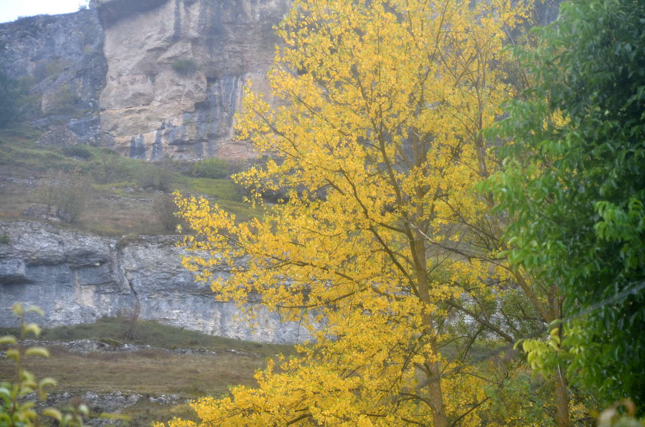 20181014115630